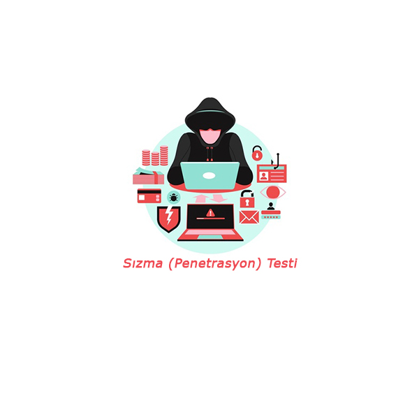 Sızma Testi ( Pentest / Penetrasyon Testi)