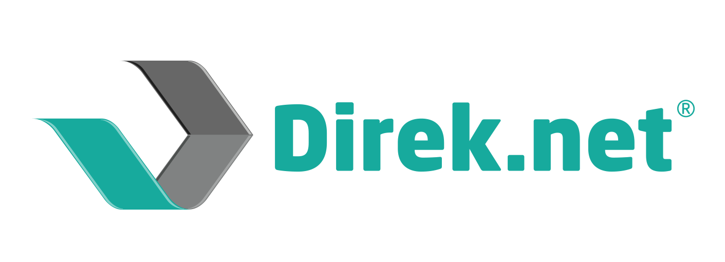 direknetlogoAna